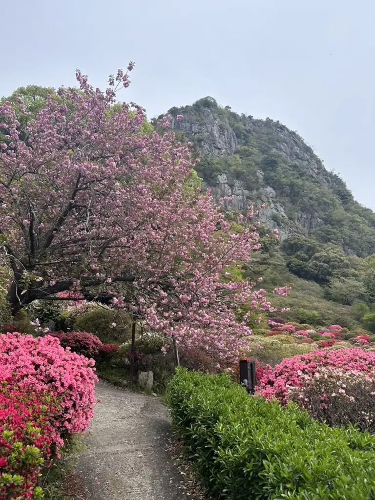 Tour Day 1: Garden Serenity & Scenic Journey to Nagasaki